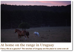 At home on the range in Uruguay