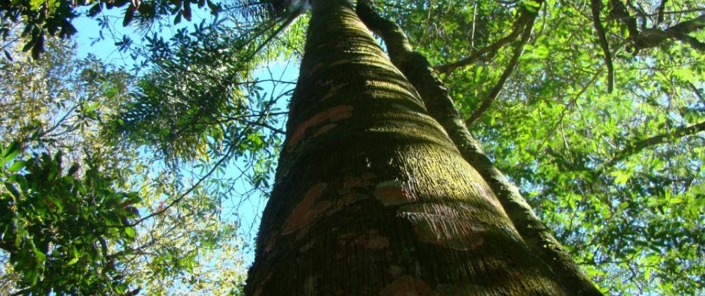 Hiking and Trekking in Uruguay