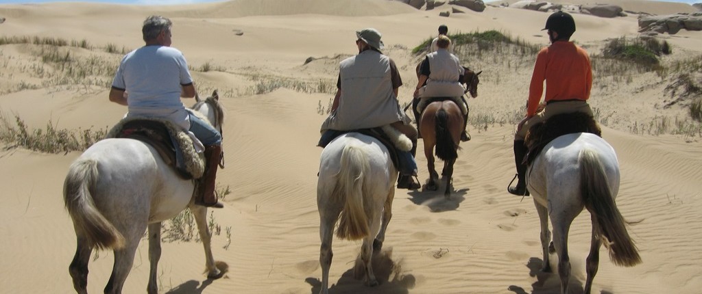 Horse Riding Tours in Uruguay