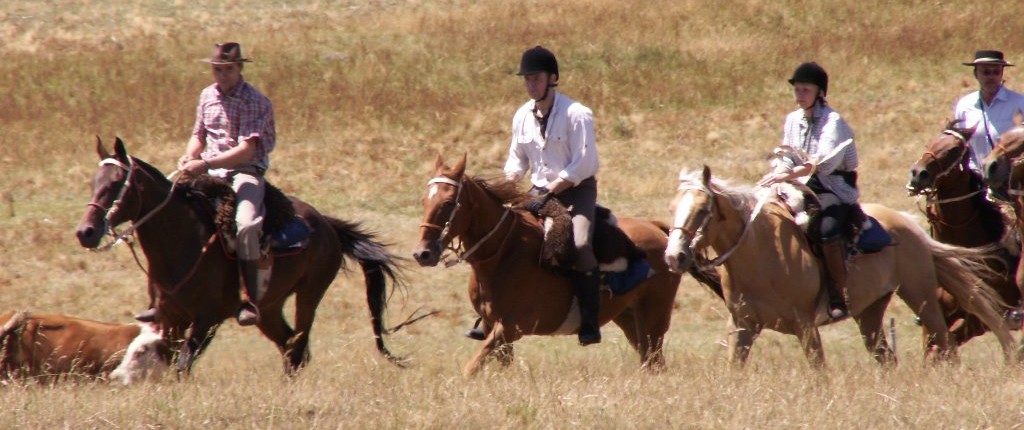 Horse Riding Tours in Uruguay