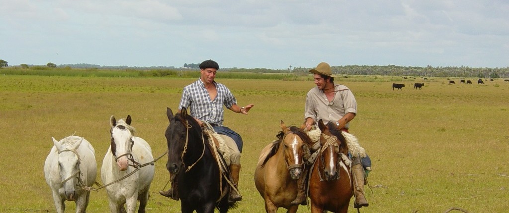 Horse Riding Tours in Uruguay