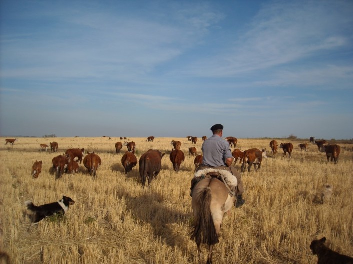 Nature and Culture in Uruguay