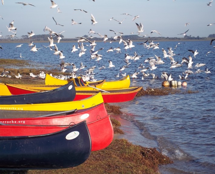 Canoeing in Uruguay