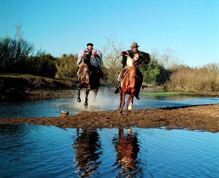 Gauchos